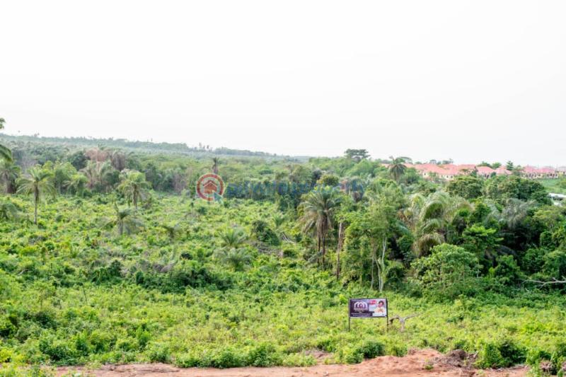 Land For Sale Araga/st. Augustine University /yabatech, Epe Campus Epe Lagos - 3
