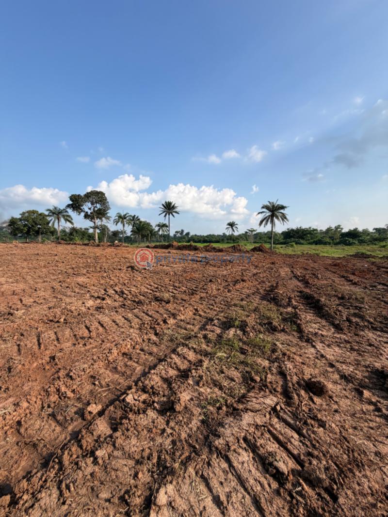 Residential Land For Sale Emene Enugu Suburb Enugu Area  - 3