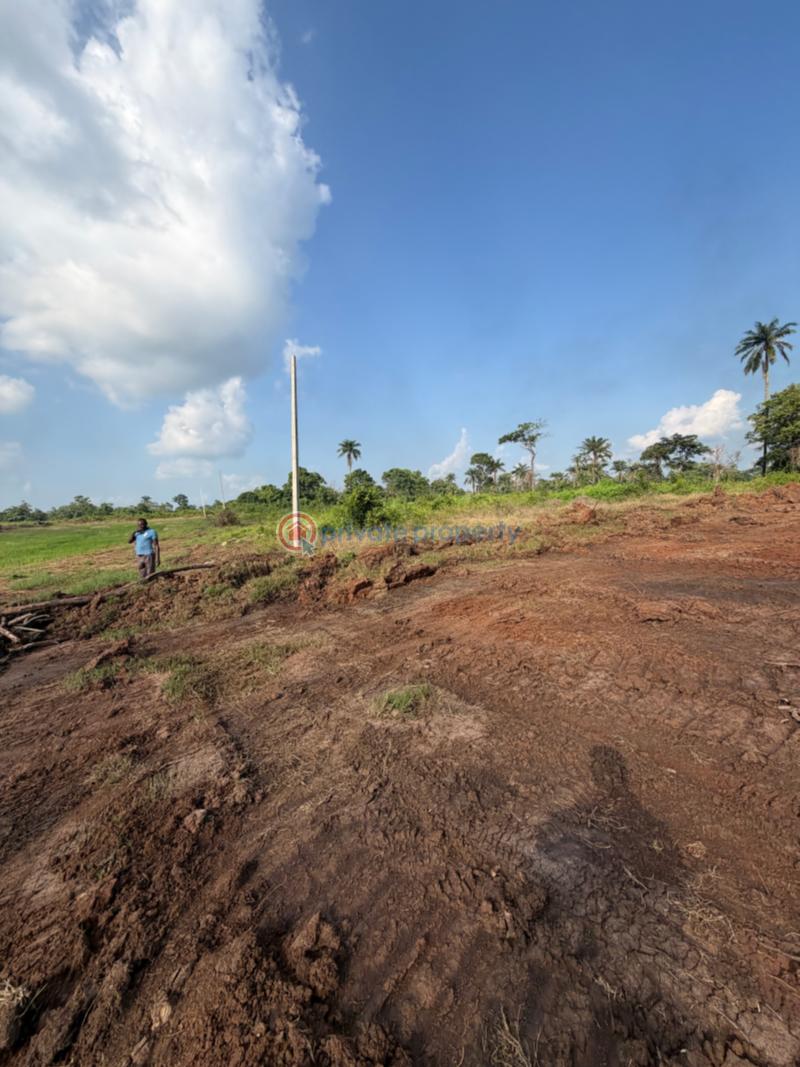 Residential Land For Sale Emene Enugu Suburb Enugu Area  - 7