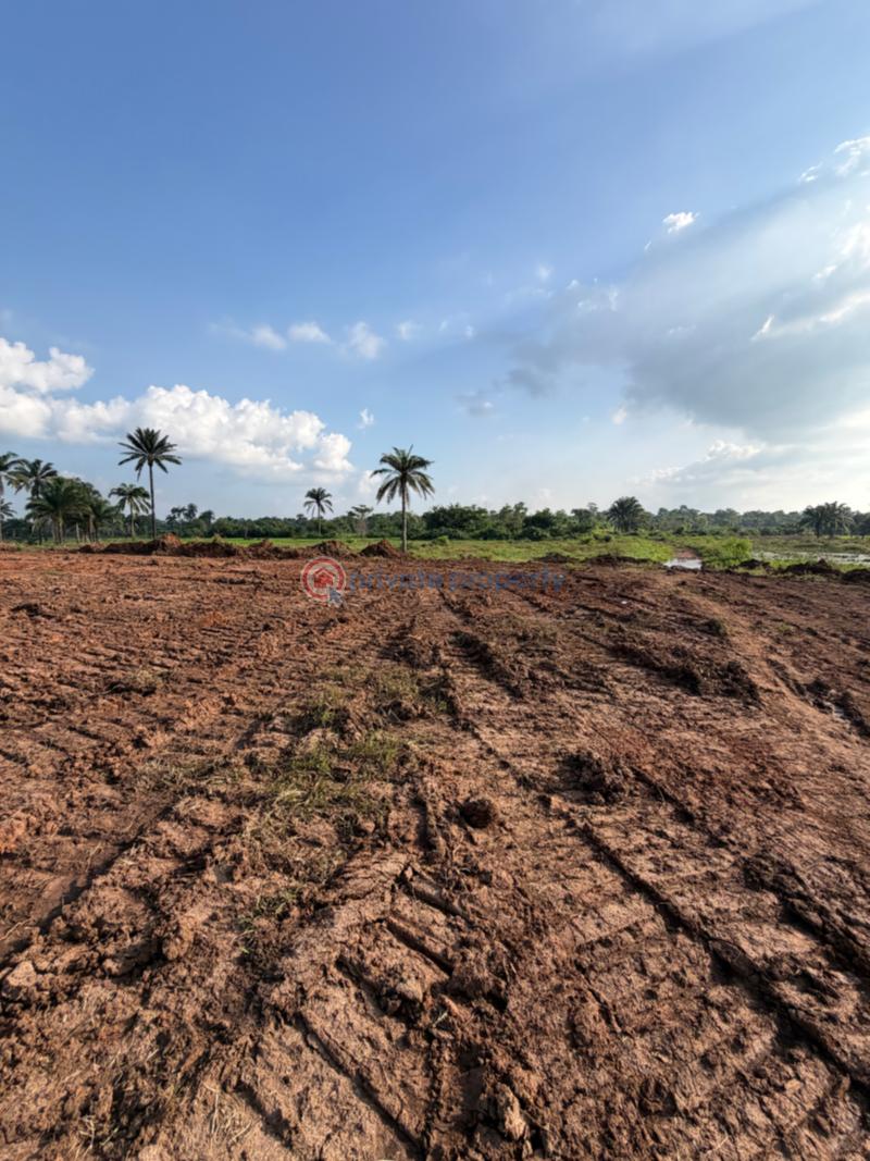 Residential Land For Sale Emene Enugu Suburb Enugu Area  - 1
