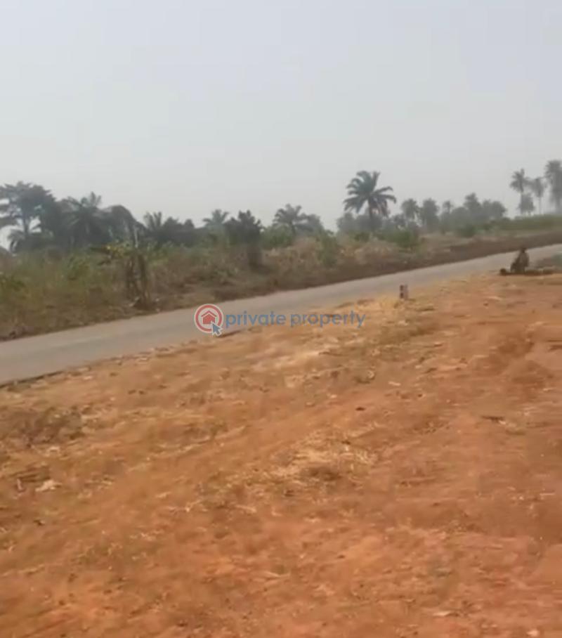 Mixed use Land For Sale Ivy Estate Erote/ Ajata, Along Bende Road Umuahia North Abia - 3