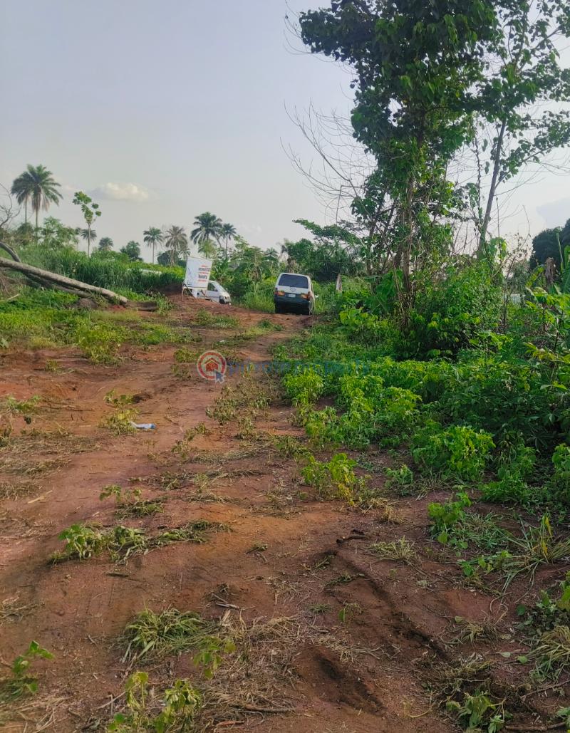 Land For Sale Legend Court ,oforola, Off Futo Junction, 4mins Drive From Futo Junction. Owerri Owerri Imo - 3