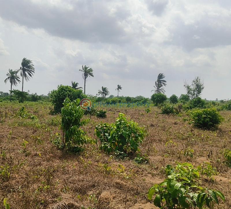 Land For Sale Legend Court ,oforola, Off Futo Junction, 4mins Drive From Futo Junction. Owerri Owerri Imo - 4