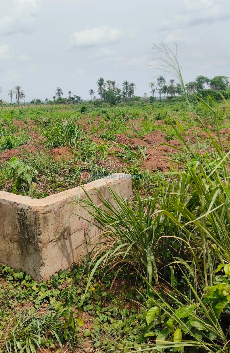 Land For Sale Legend Court ,oforola, Off Futo Junction, 4mins Drive From Futo Junction. Owerri Owerri Imo - 5