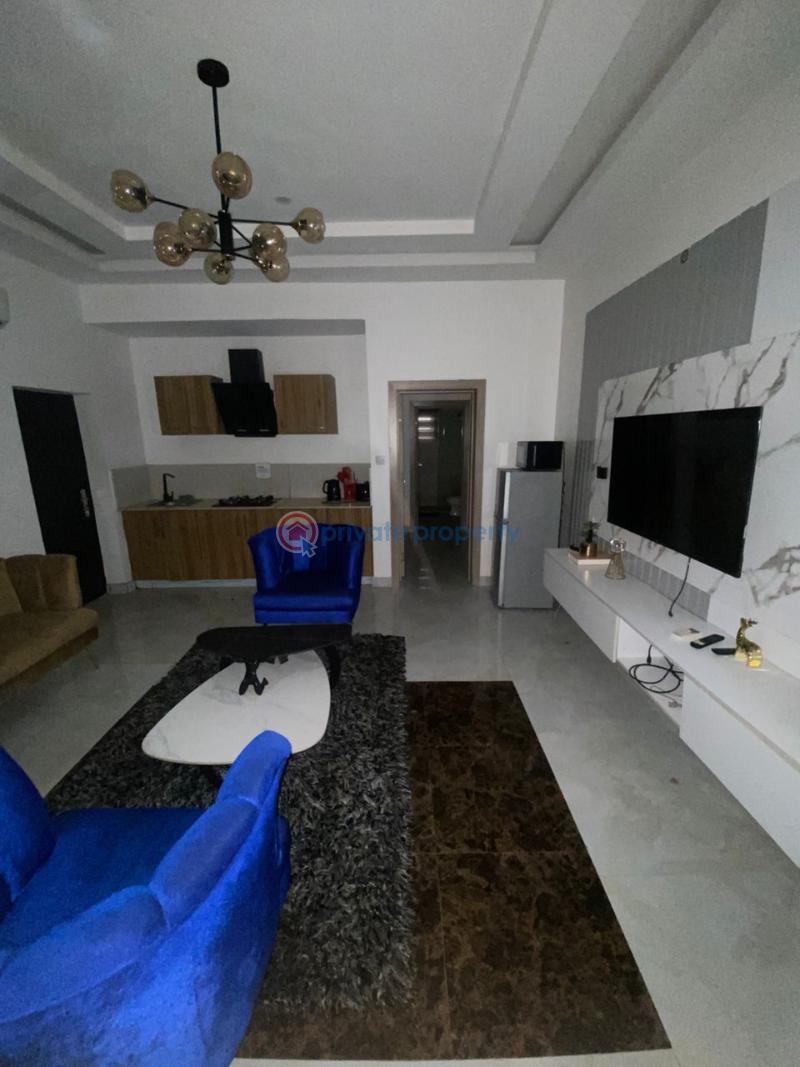 1 bedroom Mini Flat For Rent Freedom Way, Lekki Phase 1 Lekki Lagos - 3