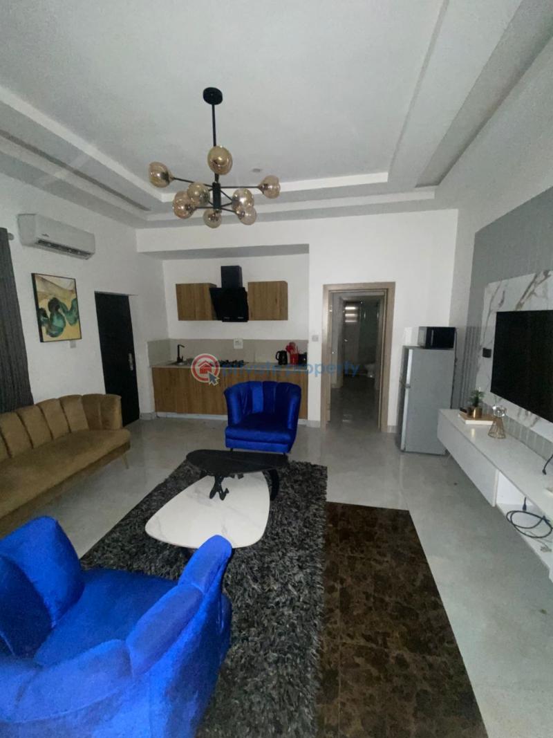 1 bedroom Mini Flat For Rent Off Freedom Way Lekki Phase 1 Lagos - 5
