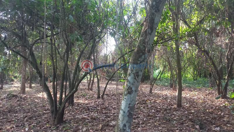 Commercial Land For Sale Obafemi Owode, Old Abeokuta Road Ajebo Ajebo Obafemi Owode Ogun - 1