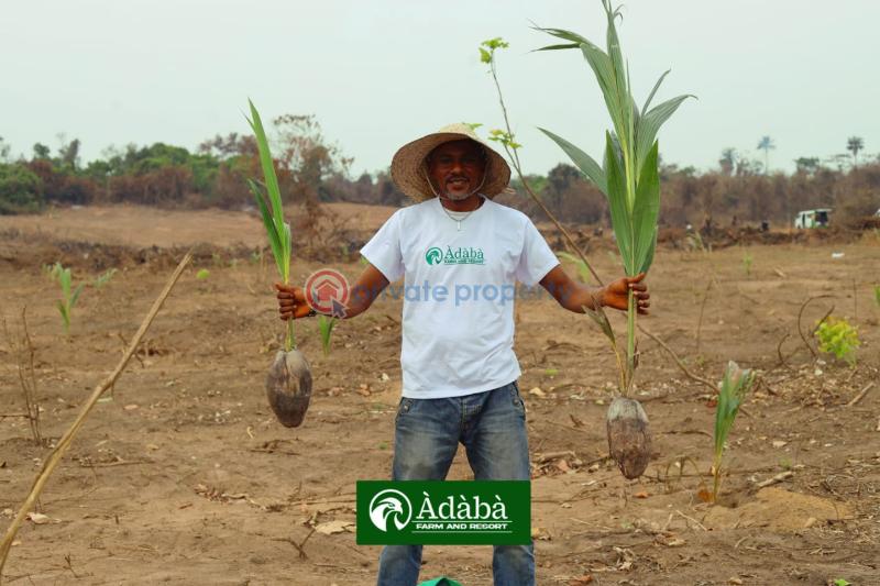 Commercial Land For Sale Obafemi Owode Ogun - 4