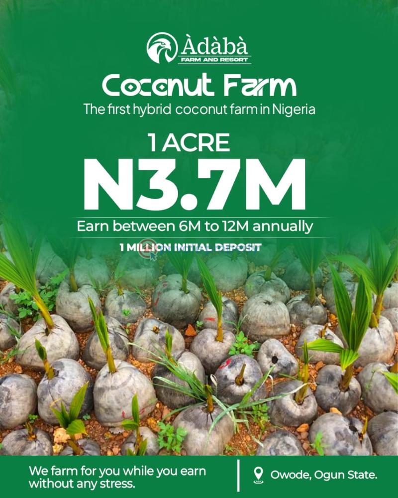 Mixed use Land For Sale Obafemi Owode Ogun - 1