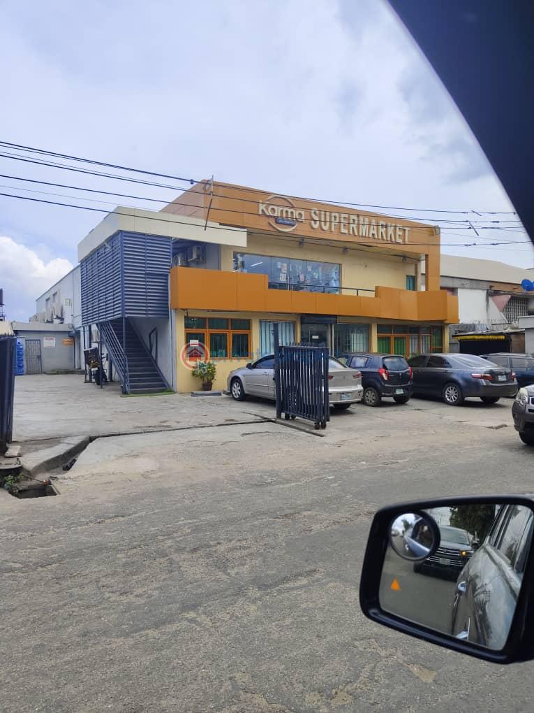 Mall/Complex/Plaza For Sale Ilupeju Lagos - 0
