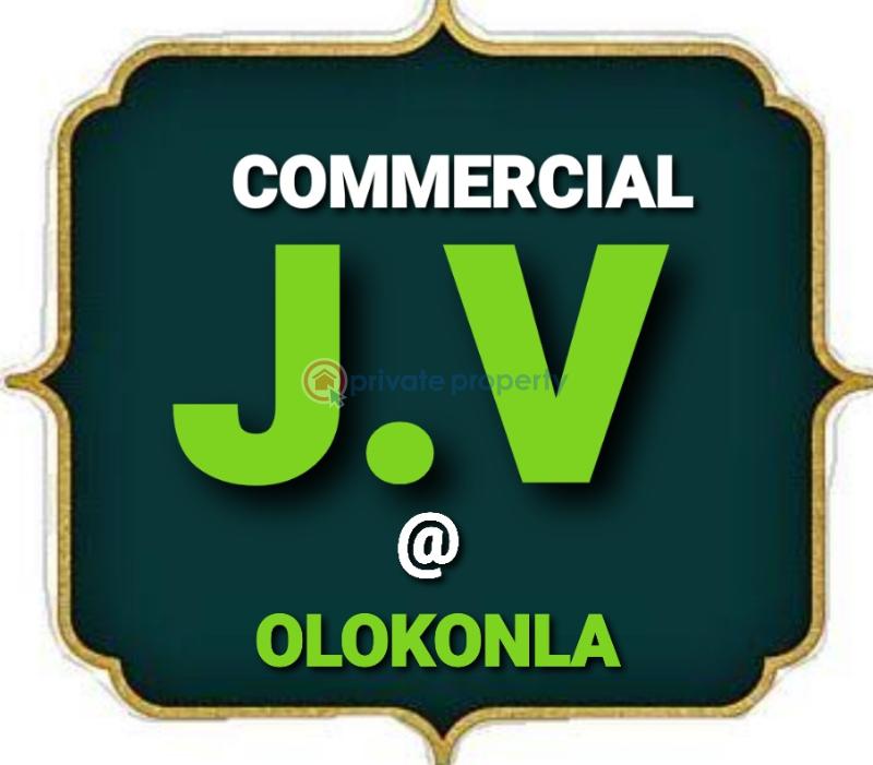 Joint Venture Land For Sale Olokonla Facing Lekki Lekki Epe Express Way Olokonla Ajah Lagos