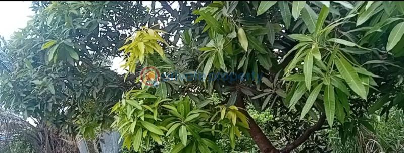 Commercial Land For Sale First Gate, Festac Amuwo Odofin Lagos