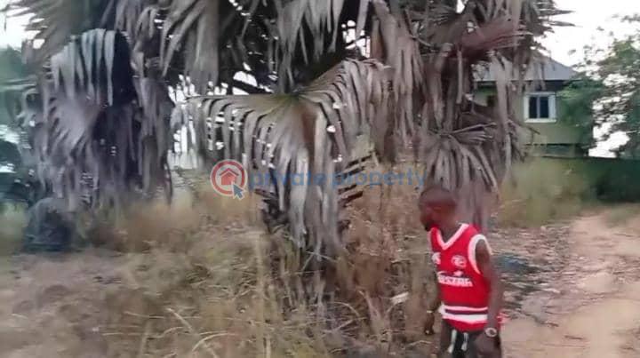 Mixed use Land For Sale Igbariam By Chukwuemeka Odumegwu Ojukwu University Anambra East  - 1
