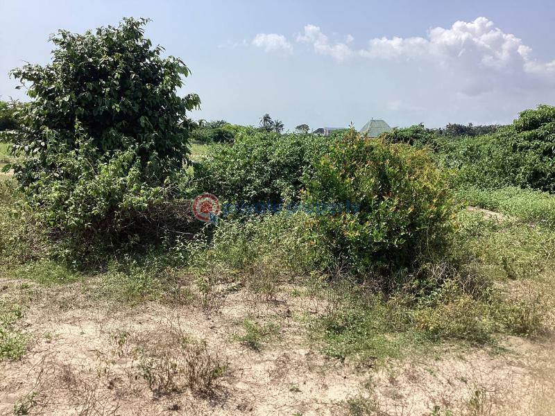Commercial Land For Sale Sharing Fence With Dangote Fertilizer Company Free Trade Zone Ibeju Lekki Free Trade Zone Ibeju-Lekki Lagos