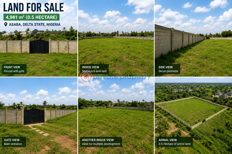 Commercial Land For Sale Okpanam Ibusa Road. Few Meters To The New Benin Onisha Express Way Oshimili North Delta - 1
