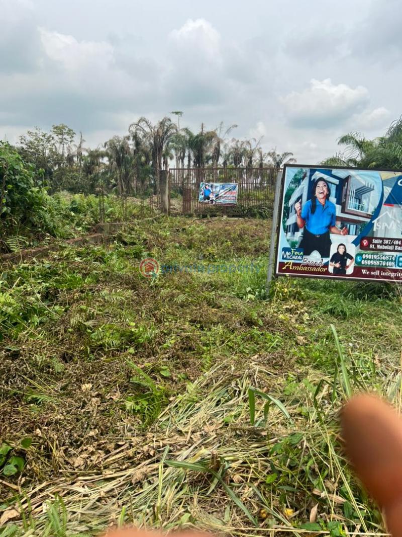 Residential Land For Sale Close Proximity To: Central Business District Alausa, Ikeja (less Than 10 Minutes) Obafemi Owode Ogun - 1