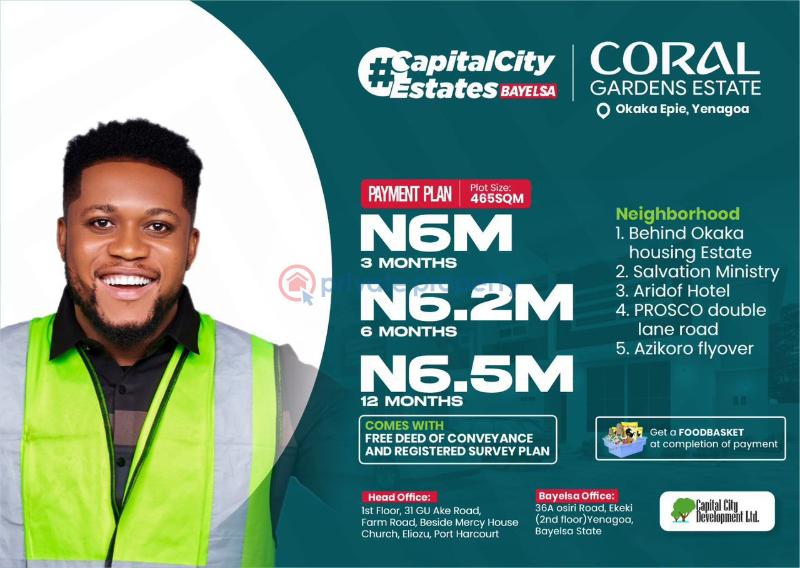 Residential Land For Sale Okaka Epie Yenagoa Bayelsa Area 