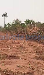Residential Land For Sale Fed. Road Safety, Civil Defence ,opposite Admiralty University Koka Junction Asaba Oshimili North Delta - 1