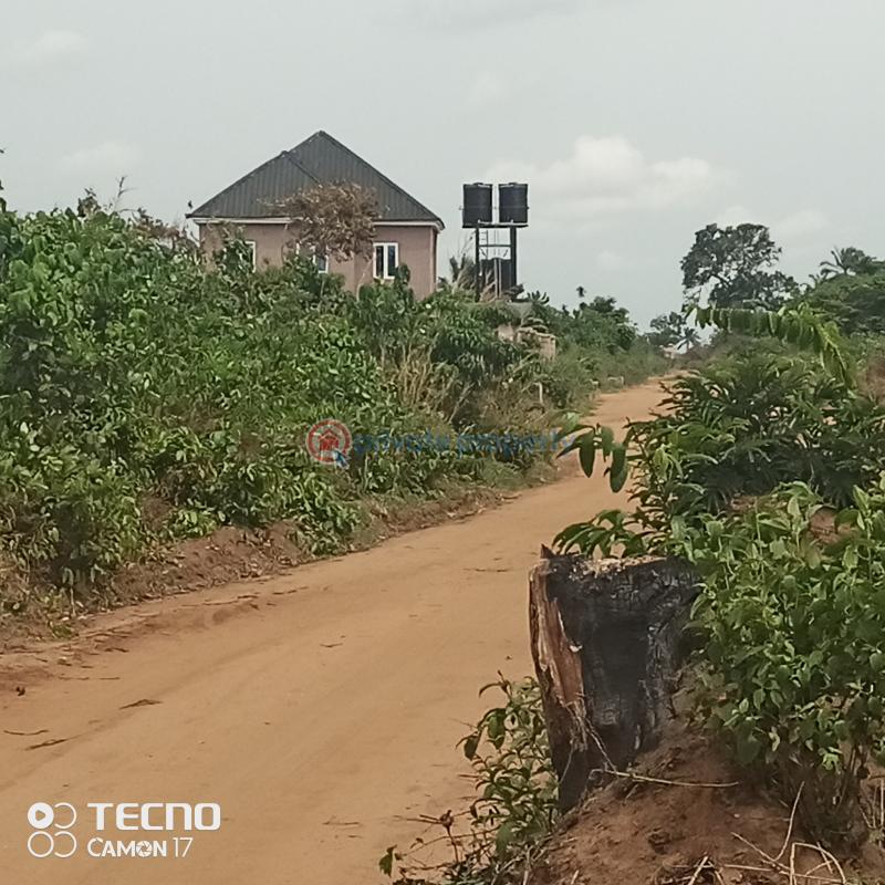 Mixed use Land For Sale By Akanawu Estate Uborji Okuku Owerri Imo - 6