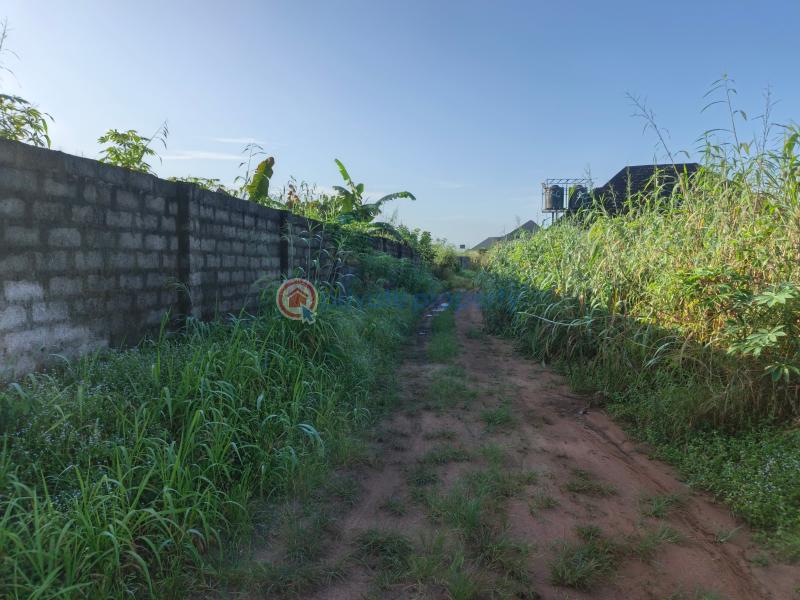 Residential Land For Sale Amakabo Avenue By White House Avu Owerri Imo - 4