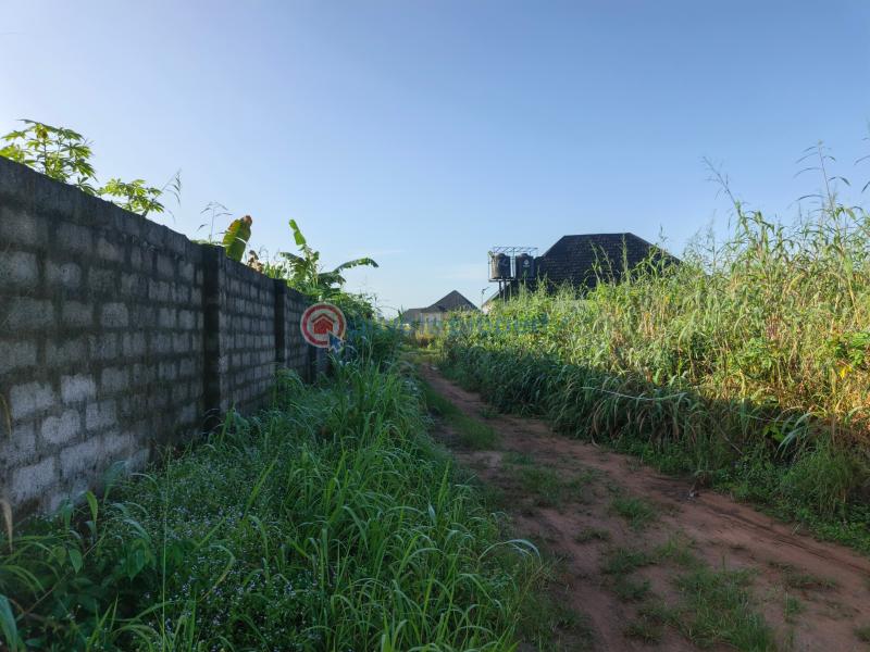 Residential Land For Sale Amakabo Avenue By White House Avu Owerri Imo - 1