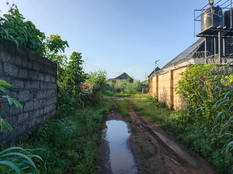 Residential Land For Sale Amakabo Avenue By White House Avu Owerri Imo - 3