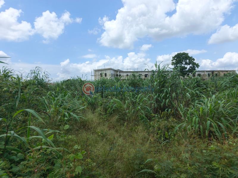 Residential Land For Sale Amakabo Avenue By Catholic Missionary School Owerri Imo - 7