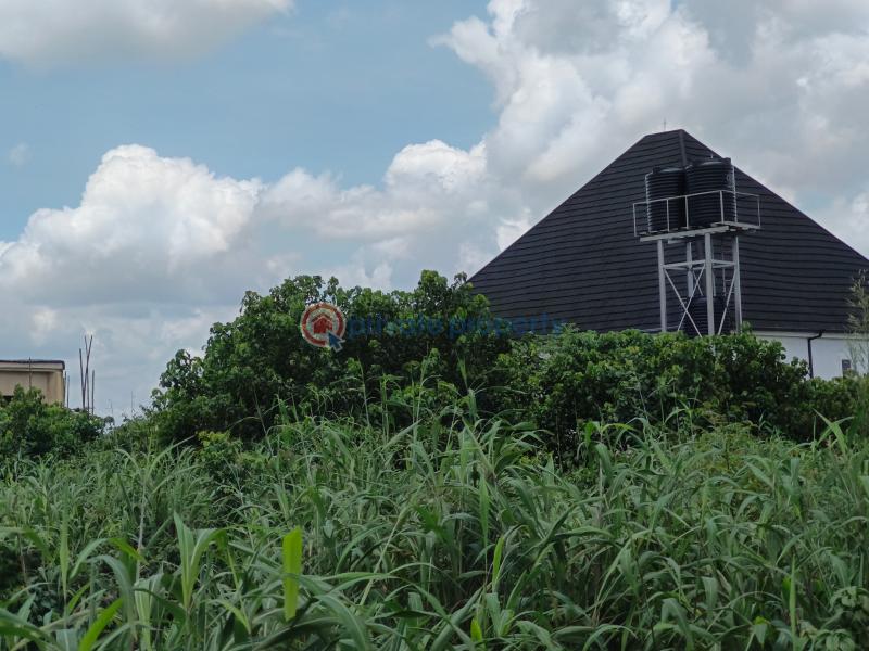 Residential Land For Sale Amakabo Avenue By Catholic Missionary School Owerri Imo - 1