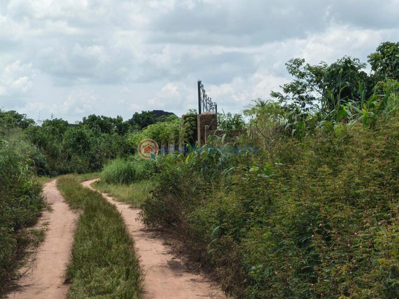 Residential Land For Sale Amakabo Avenue By Catholic Missionary School Owerri Imo - 4