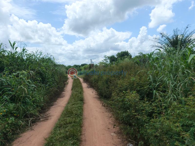 Residential Land For Sale Amakabo Avenue By Catholic Missionary School Owerri Imo - 5