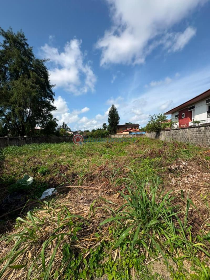 Residential Land For Sale Victoria Garden City Lekki Lagos - 2