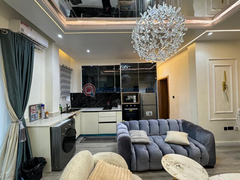 1 bedroom Mini Flat Short let Freedom Way Lekki Phase 1 Lagos - 3