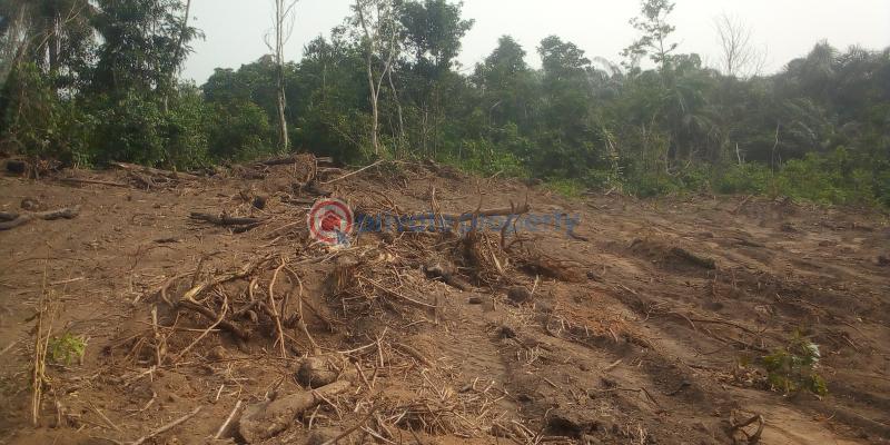 Residential Land For Sale Epe Resort Augustine University Alaro City Isimi Lagos New International Airport Lagos State Food Hub Epe Lagos - 2