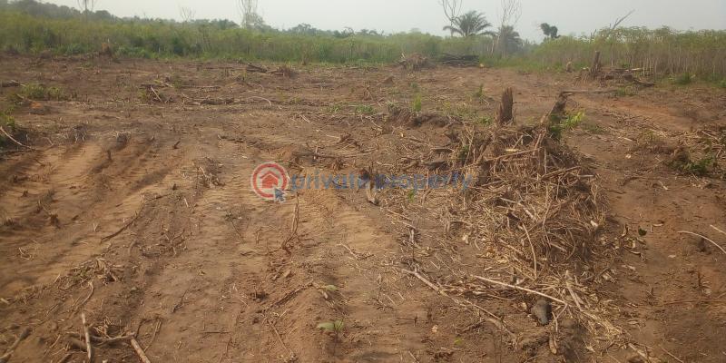 Residential Land For Sale Epe Resort Augustine University Alaro City Isimi Lagos New International Airport Lagos State Food Hub Epe Lagos - 5