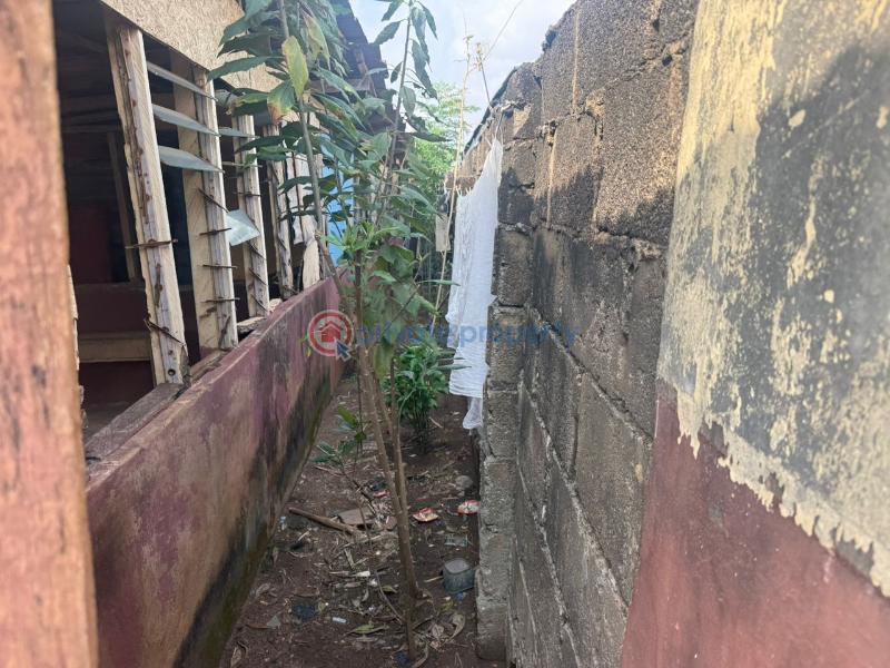 Mixed use Land For Sale Jimoj Shasha Egbeda Lagos Egbeda Egbe/Idimu Lagos - 22