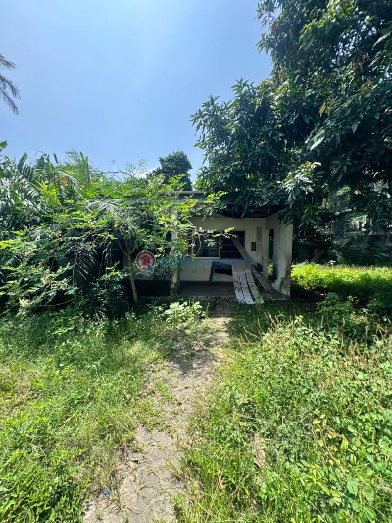 5 bedroom Commercial Property For Rent Ikoyi Lagos - 14