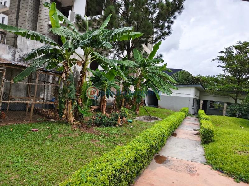 Residential Land For Sale Oduduwa Street Ikeja GRA Lagos - 3