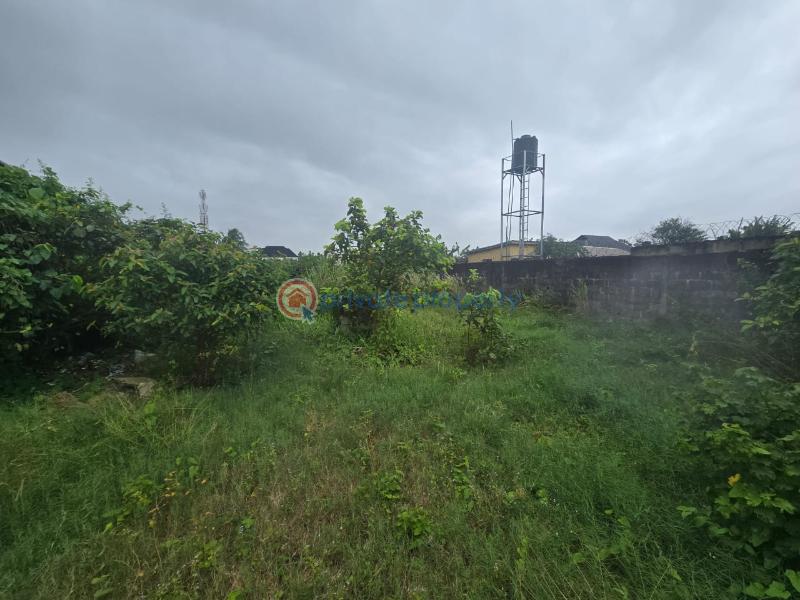 Commercial Land For Sale Abule Foli Ibeju-Lekki Lagos - 7