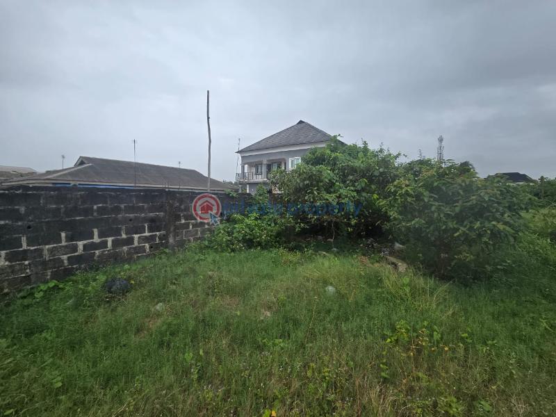 Commercial Land For Sale Abule Foli Ibeju-Lekki Lagos - 3