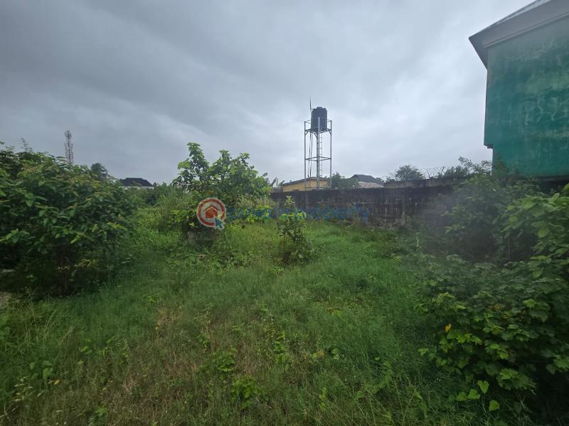 Commercial Land For Sale Abule Foli Ibeju-Lekki Lagos - 5