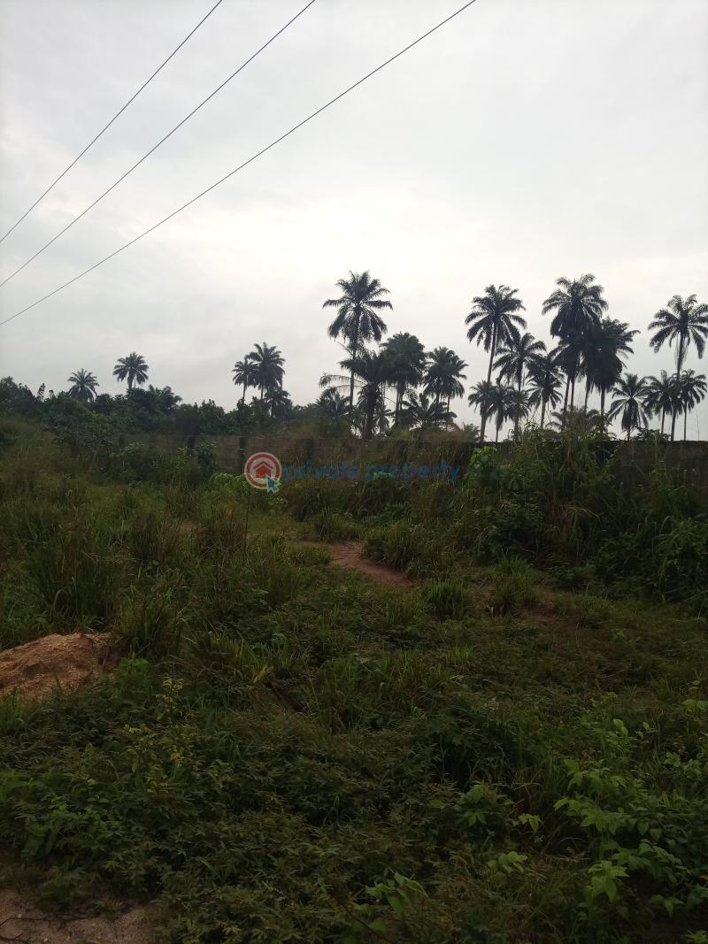 Land For Sale Opposite Tecel University, After Stella Maris University; Before The Rivers State University Extension Port Harcourt Rivers - 1