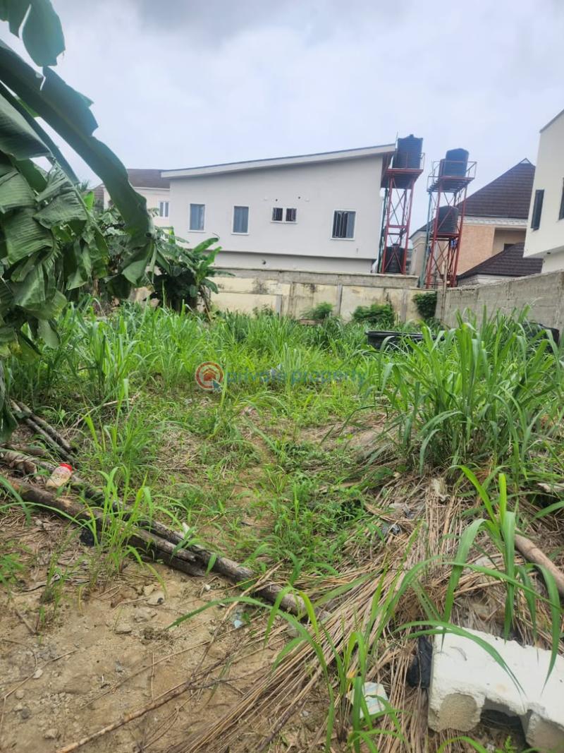 Land For Sale 1min Road Agric Agbede Agric Ikorodu Lagos