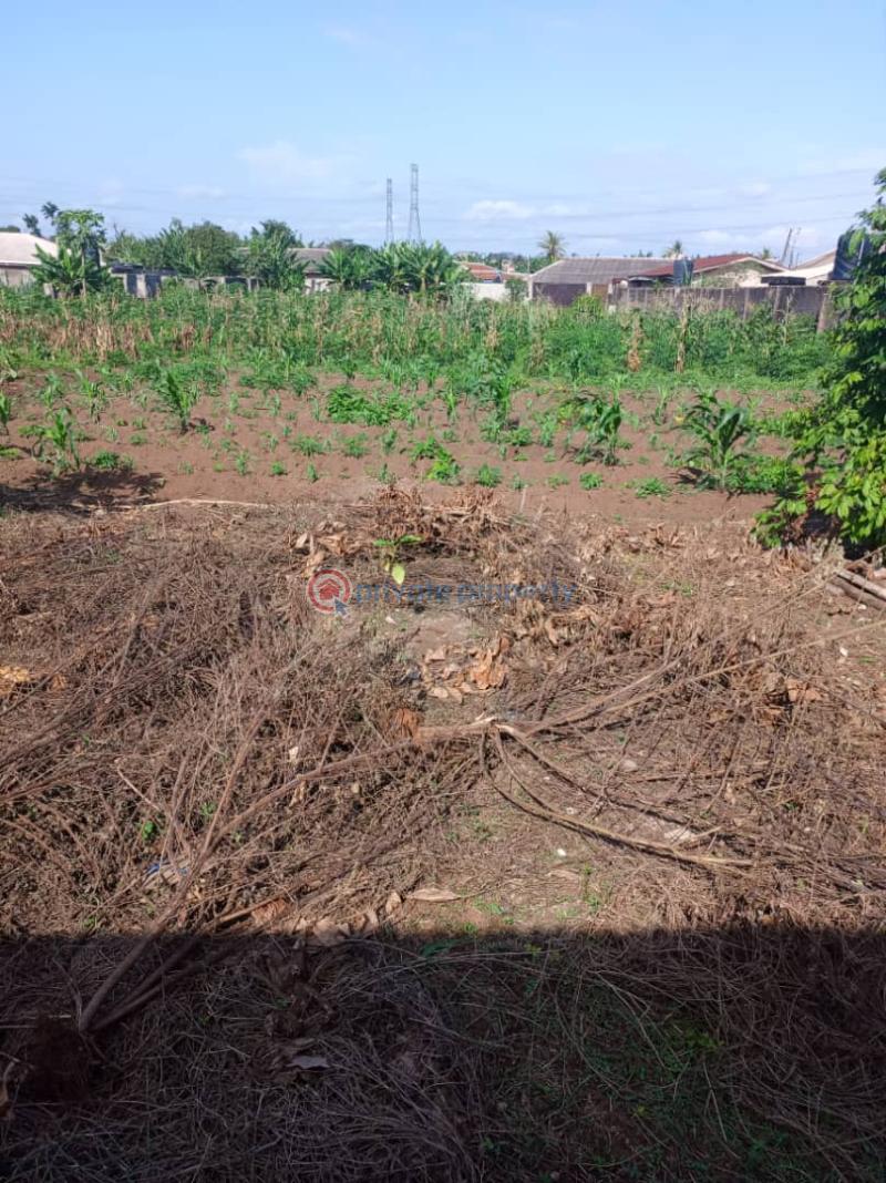 Residential Land For Sale Abule Eko Before Ijede Town Ijede Ikorodu Lagos