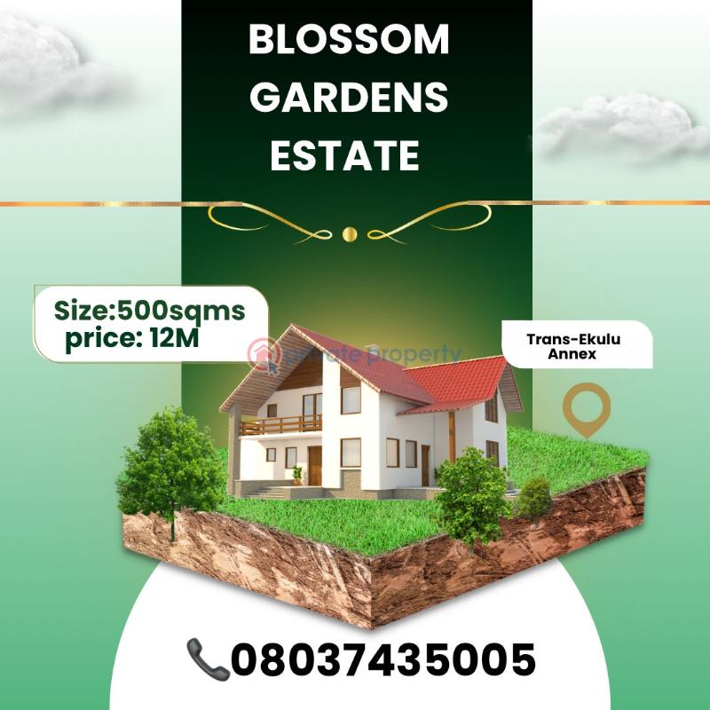 Residential Land For Sale Trans Ekulu Annex Extension Enugu Area 