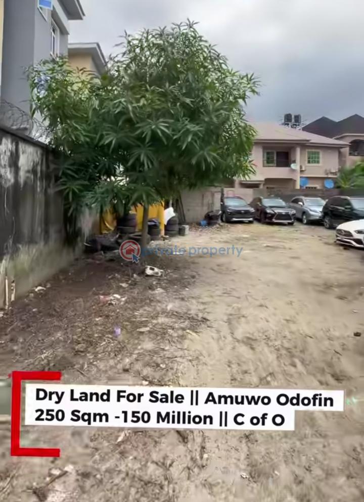 Land For Sale Tarred Road Amuwo Odofin Lagos - 2