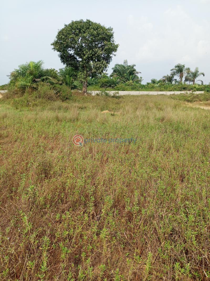 Dry land - 6 Mixed use Land For Sale Eleran Igbe Ibeju-Lekki Lagos - 6