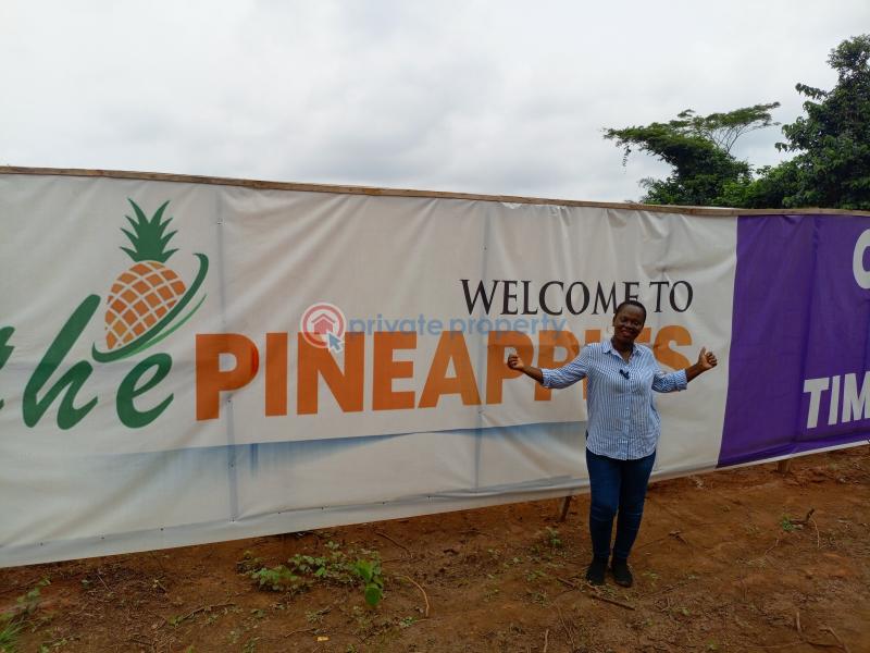 Residential Land For Sale The Pineapples Estate Agbowa Ikorodu Ogun Ogun area  - 2