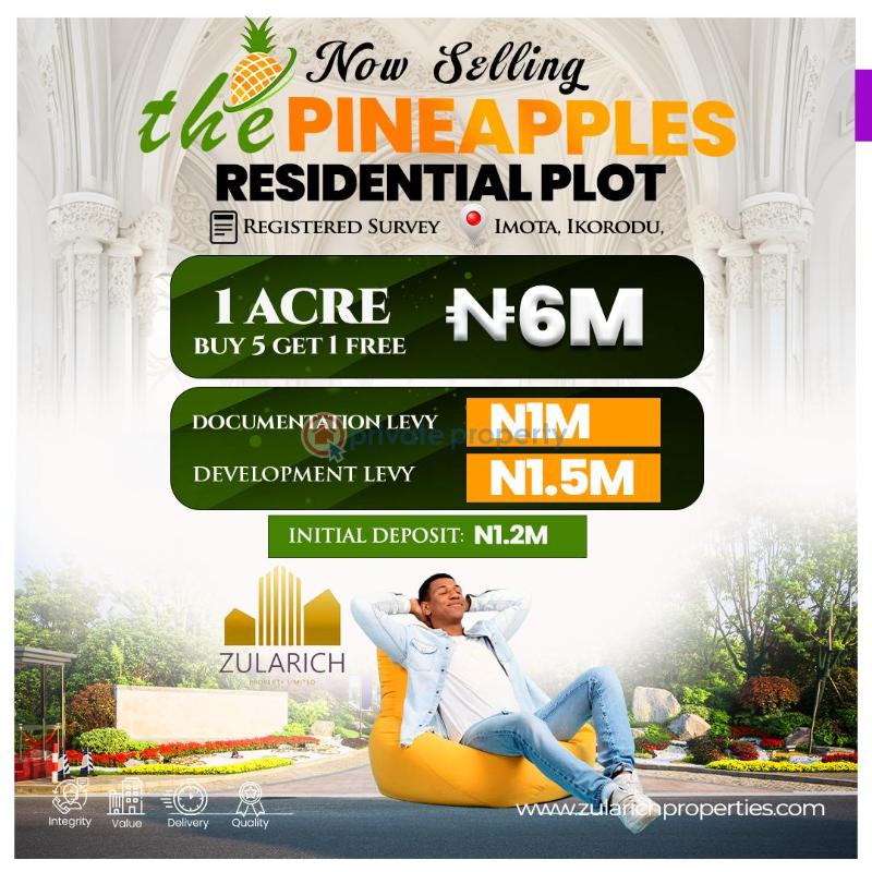 Residential Land For Sale The Pineapples Estate Agbowa Ikorodu Ogun Ogun area  - 6
