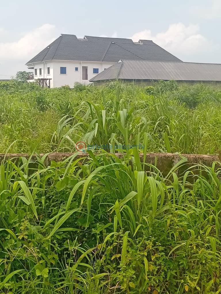 Residential Land For Sale Camp David Road Ayobo Ipaja Lagos - 1