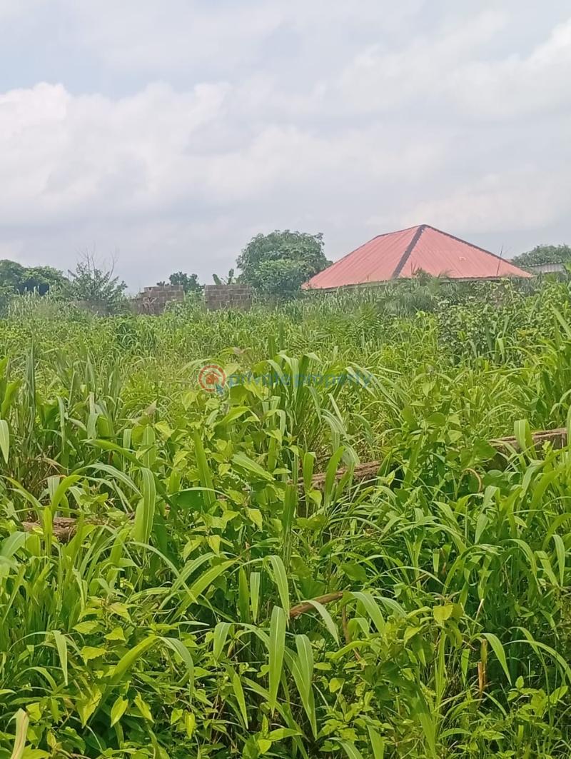 Residential Land For Sale Camp David Road Ayobo Ipaja Lagos - 2